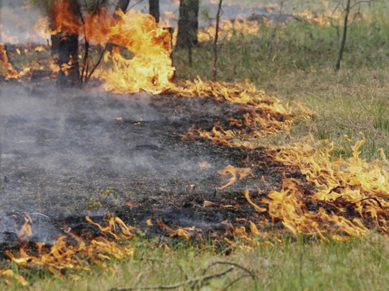 В Саратовской области установлен особый противопожарный режим.
